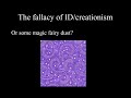 Fallacy of Intelligent Design & Creationism-SEE DESCRIPTION Fallacy of Intelligent Design & Creationism-SEE DESCRIPTION