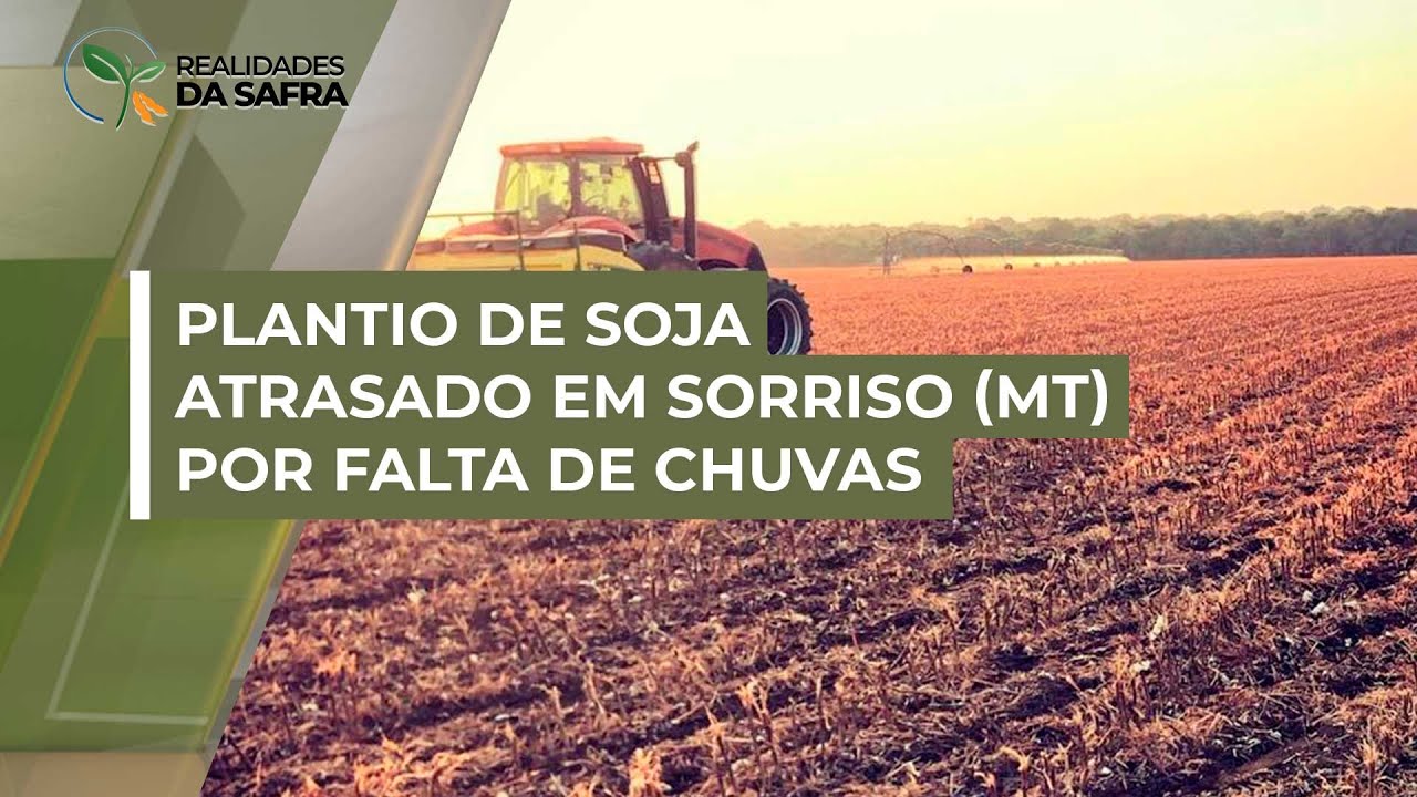 Com falta de chuvas, plantio da soja está atrasado em Sorriso (MT), com cerca de 5% das áreas sem...