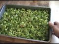 Preserving the Pepper Harvest 1/2