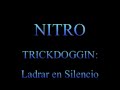 NITRO trickdogging: ladrar en silencio