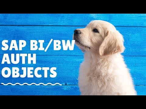 how to provide authorization object in sap