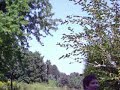 Jon trying to make a basket.