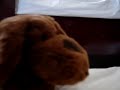 comercial-publicine-instinto-selvagem.html
