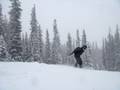 videos de Houston's Crested Butte #1