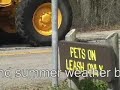 TxDOT: Working For You - Work at Lake Tawakoni State Park