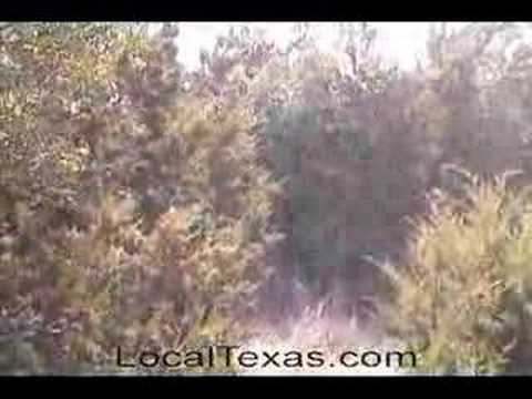 how to treat cedar fever