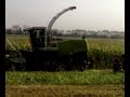 INSILATO 2008 GINO APE TEAM  TESTE CON JAGUAR 870 E FENDT 716