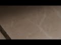 La Muerte del Salamanquesito Parte 6