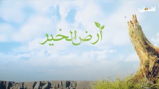 أرض الخير في قرية فلامية في #قلقيلية التي تشتهر بزراعة الزعتر