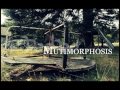Click here to watch this video paperbed - Mutimorphosis