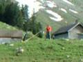 Alphorn Säntis