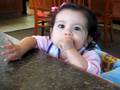 videos de carrots!