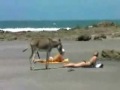 Horny Ass Vs. Tight Ass