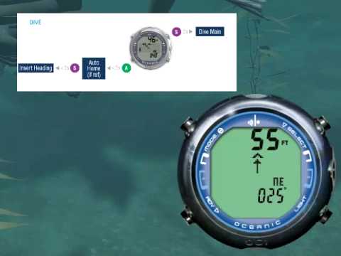 0 Oceanic: OC1 Dive Computer