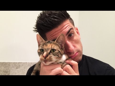 NEW KITTEN