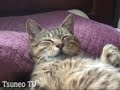 tsuneo is sleeping with a pillow