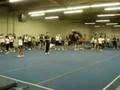 videos de stunt ninja