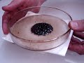 Ferrofluid: How it works Ferrofluid: How it works