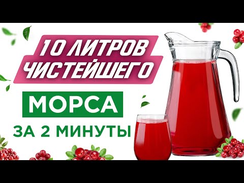 Как приготовить морс из клюквы? Готовим чистейший морс
