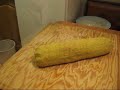 BTS CARP CLUB - kulki proteinowe dla pocz?tkuj?cych