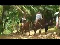 Dominican Republic , El Limon Watefall Trip