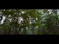 games 2012 Pc hd - The Hunger Games Movie Trailer in HD - Starring Jennifer Lawrence