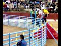 FIESTAS ALCADOZO 2008 GRAN PRIX VAQUILLA