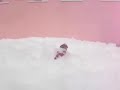 [Video]
