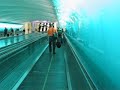 Detroit Airport Undergound Walkway Detroit Airport Undergound Walkway