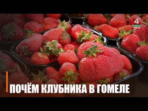 От 9 до 30 рублей. Узнали, где самая дешёвая клубника в Гомеле видео