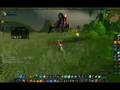 World of Warcraft - Longest Kite Ever (Hive'Regal Hunter-Killer to Org)