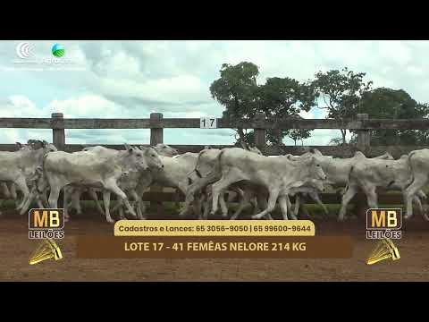 525� LEIL�O VIRTUAL MB LEIL�ES