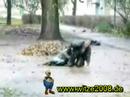2 Hammer harte Typen