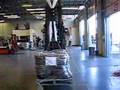 Fishbones / Electrical Ladders