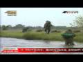 videos de Wanni Operation (Tamil Version) 7 th January 2009