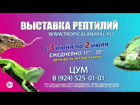 Выставка Рептилий в Тюмени