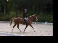 Dressage Show -- Training 3 Test