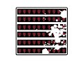 Grand Rapids Rampage title animation Grand Rapids Rampage title animation