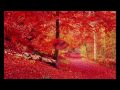 疲れがなくなる音楽 癒し世界 【 Feel the Red】 RELAX music 癒し ヒーリング