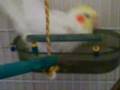 videos de Filme.wmv