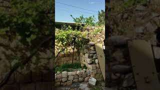 دير غسانه رام الله فلسطين دير غسانه رام الله فلسطين