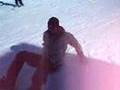 canarios en la nieve