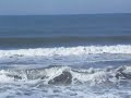 Giant waves in Pacifica,Ca Giant waves in Pacifica,Ca
