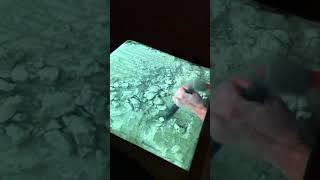 I am In The Settlements, Video, 2018