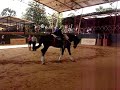 Presentacion Vaulting Colombia Country Club COREOGRAFIA