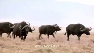 Videos Ética y Religión