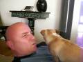 Napo wants more working out.AVI