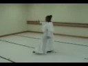 the choreographers dance
