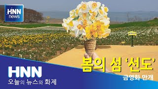 봄의 섬 '선도'