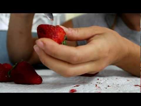 how to harvest strawberry seeds